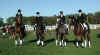 CR Team.jpg (29953 bytes)
