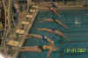Caitlin diving in1.jpg (29749 bytes)